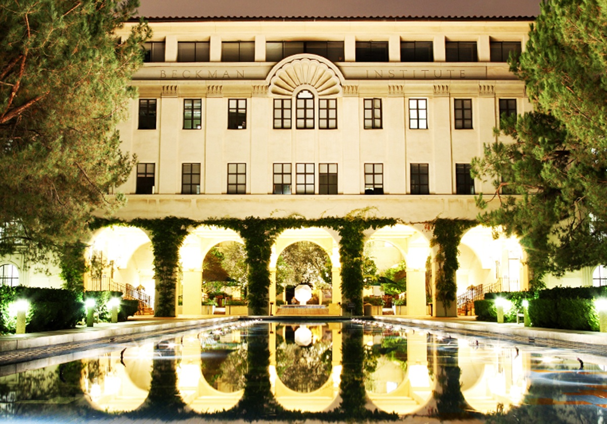 truong dai hoc dau tu anh 1