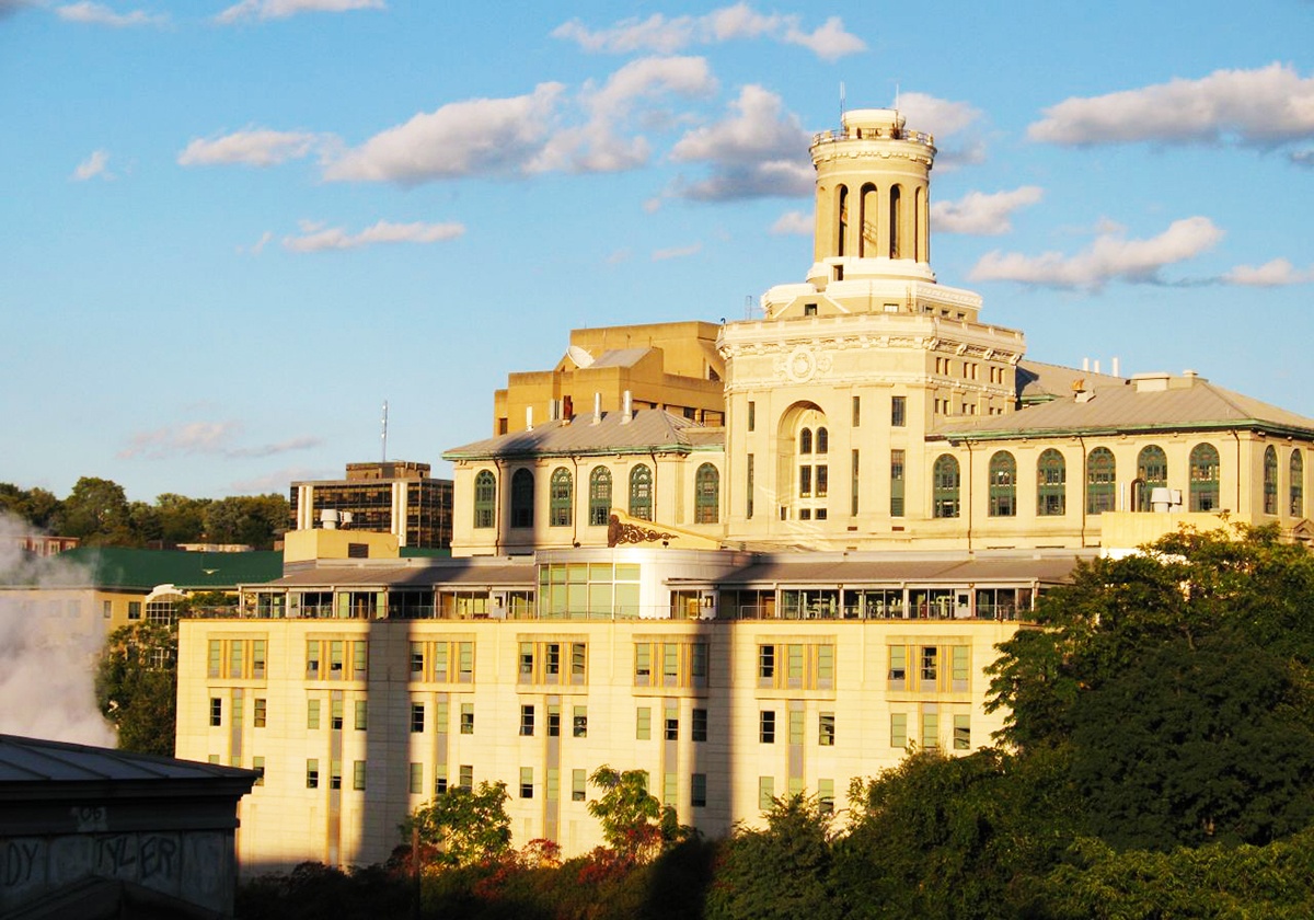 truong dai hoc dau tu anh 10