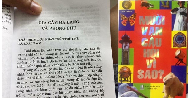 sach viet lac da la loai chim anh 1