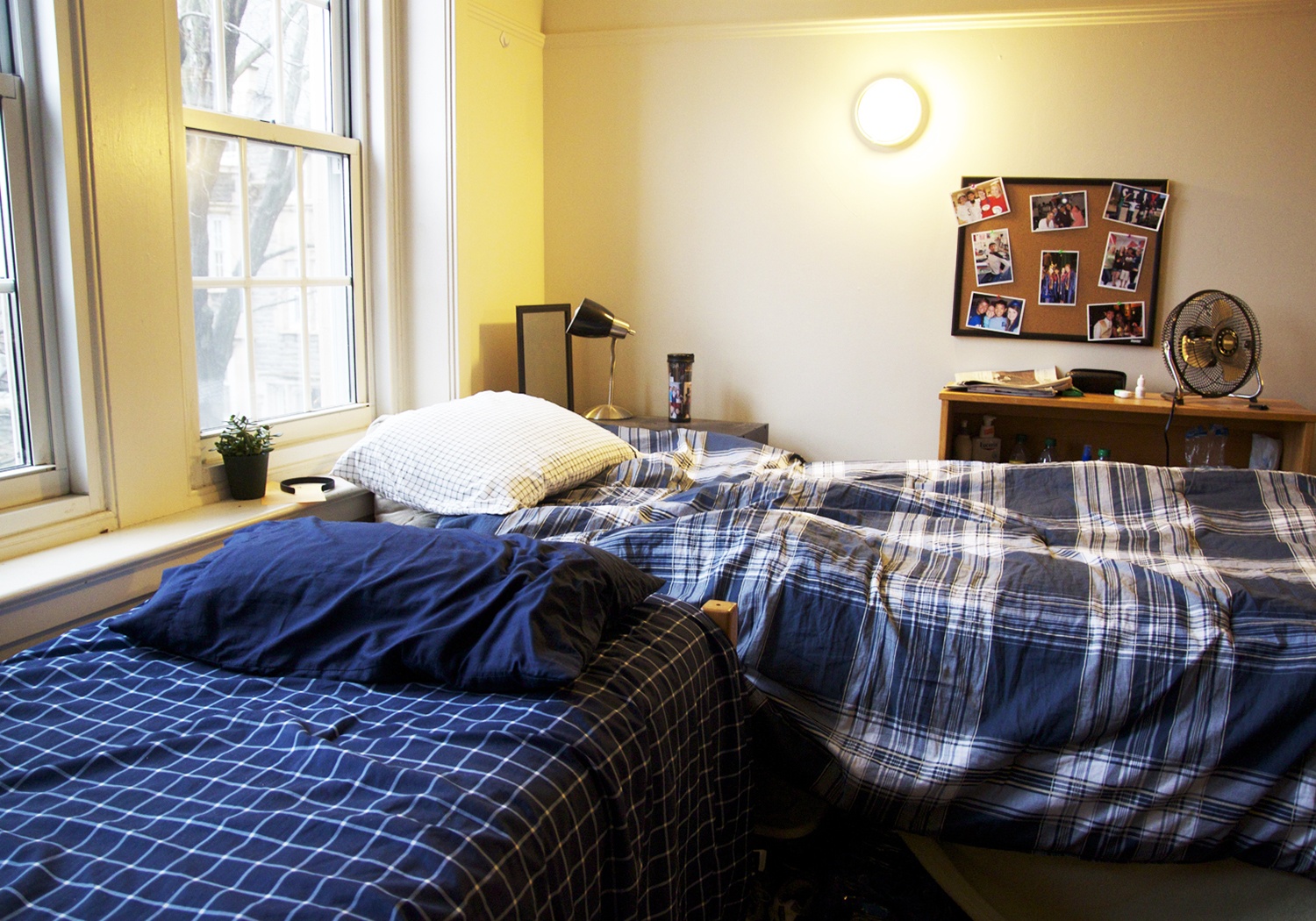 chuong trinh tien si anh 12