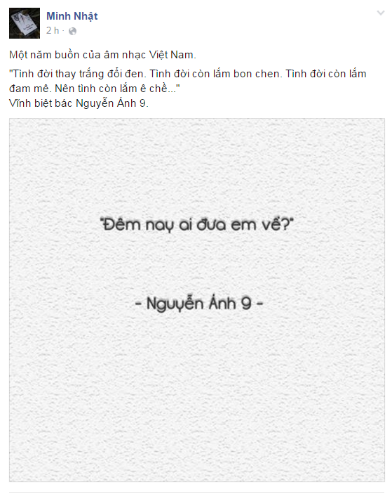 Nhac si Nguyen Anh 9 anh 2