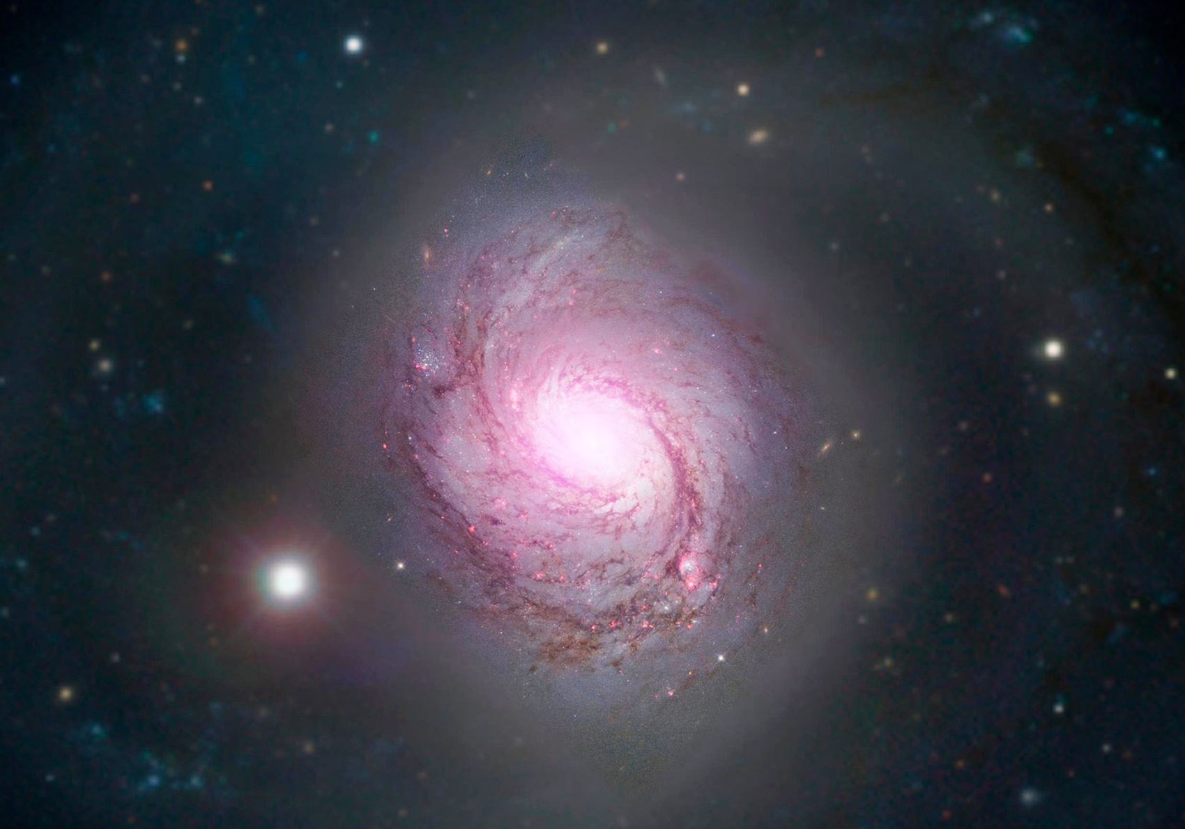 Nghien cuu sinh tien si ve nguoi ngoai hanh tinh hinh anh