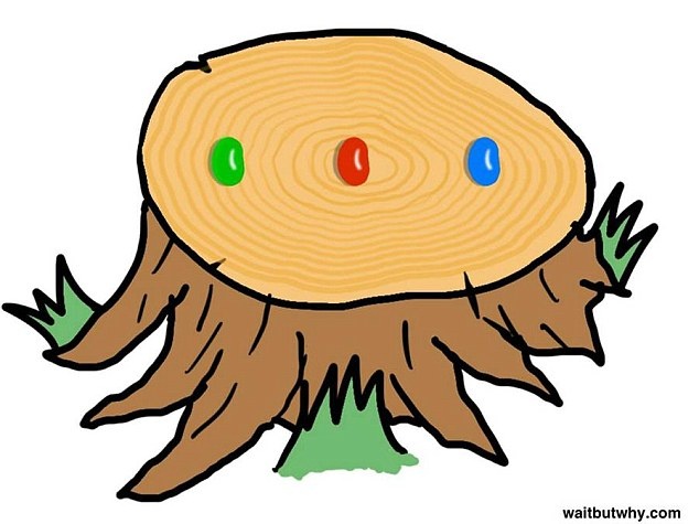 Dan mang khong the giai bai toan hat dau cua tre em hinh anh