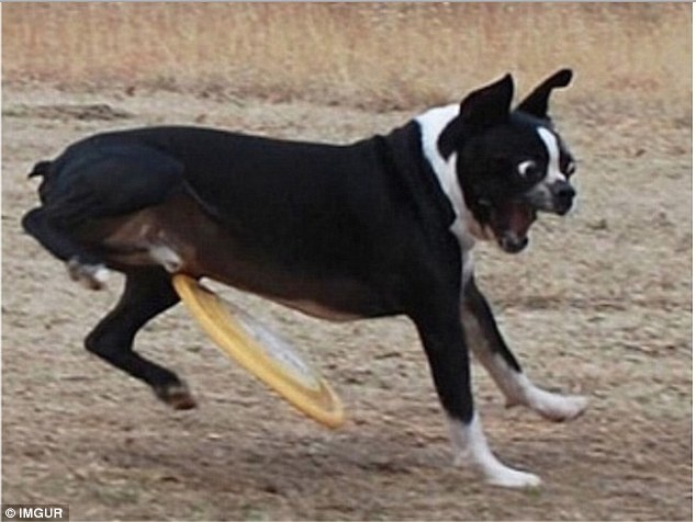 khoảnh khắc trước khi tại nạn ập đến ảnh 10 khoanh khac truoc khi tai nan ap den anh 10