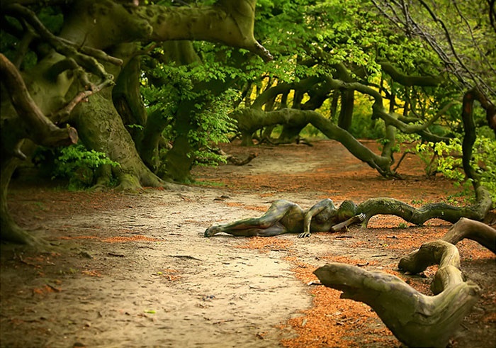 tim nguoi mau an trong anh anh 2