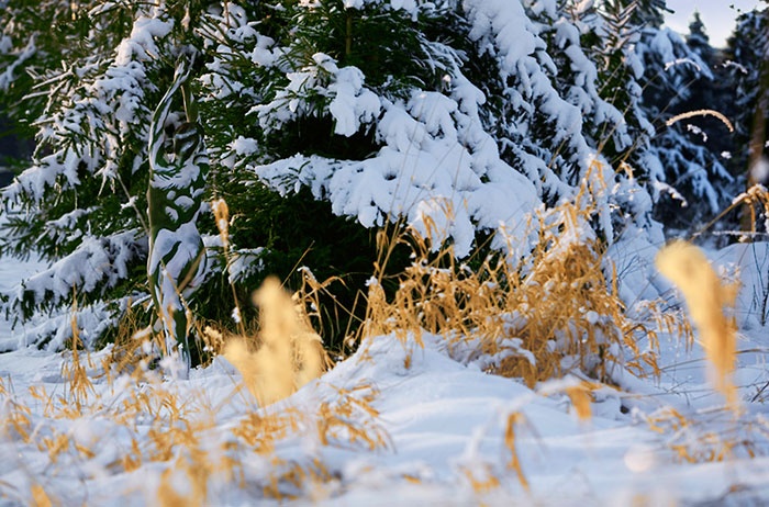 tim nguoi mau an trong anh anh 5