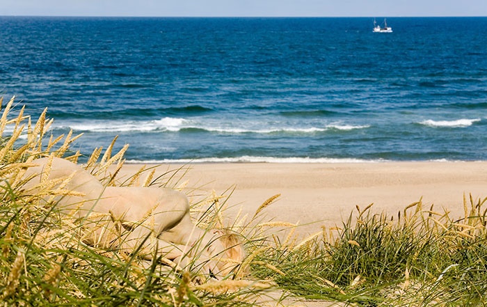 tim nguoi mau an trong anh anh 9