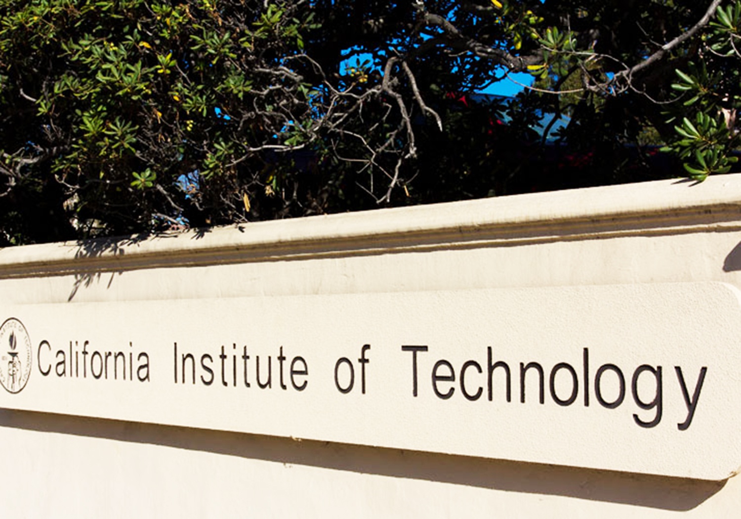 Caltech vuot Harvard thanh dai hoc tot nhat the gioi hinh anh