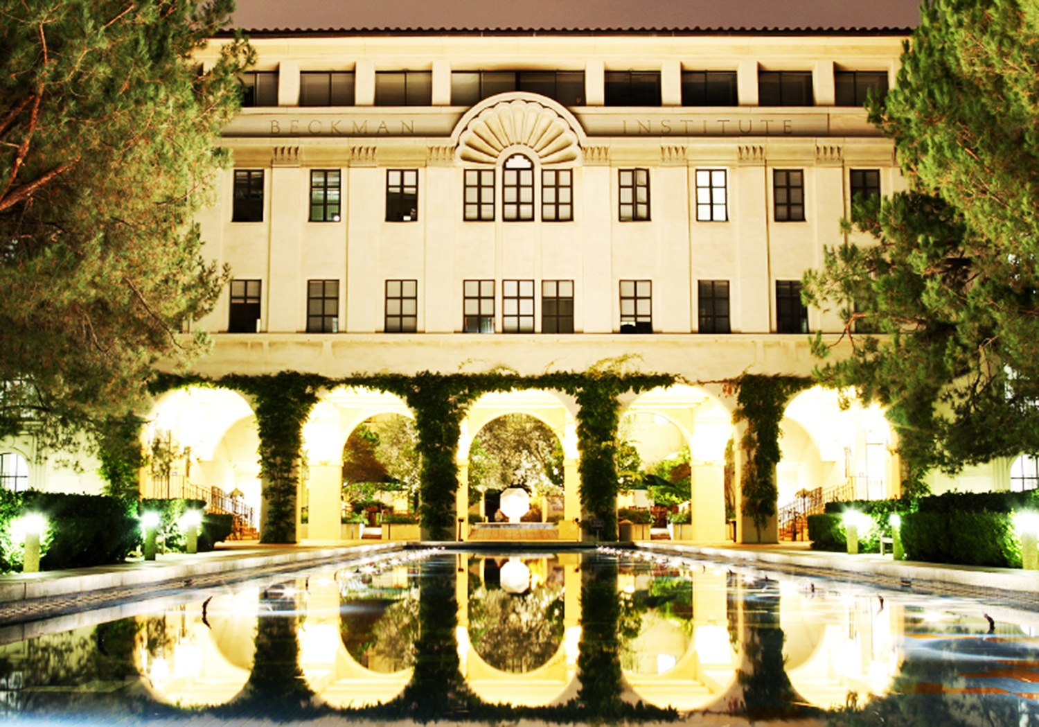 dai hoc hang dau anh 4