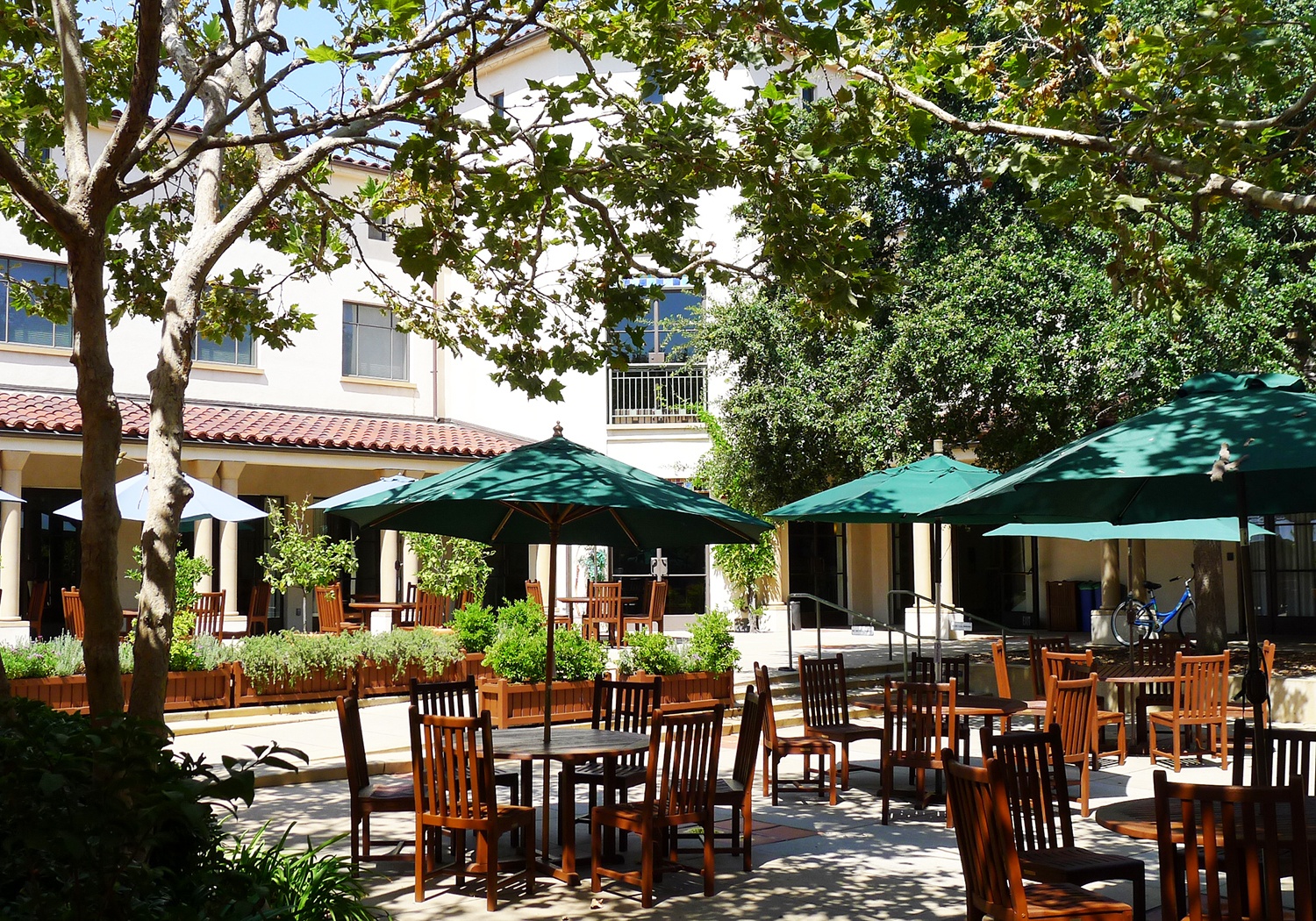 dai hoc hang dau anh 9