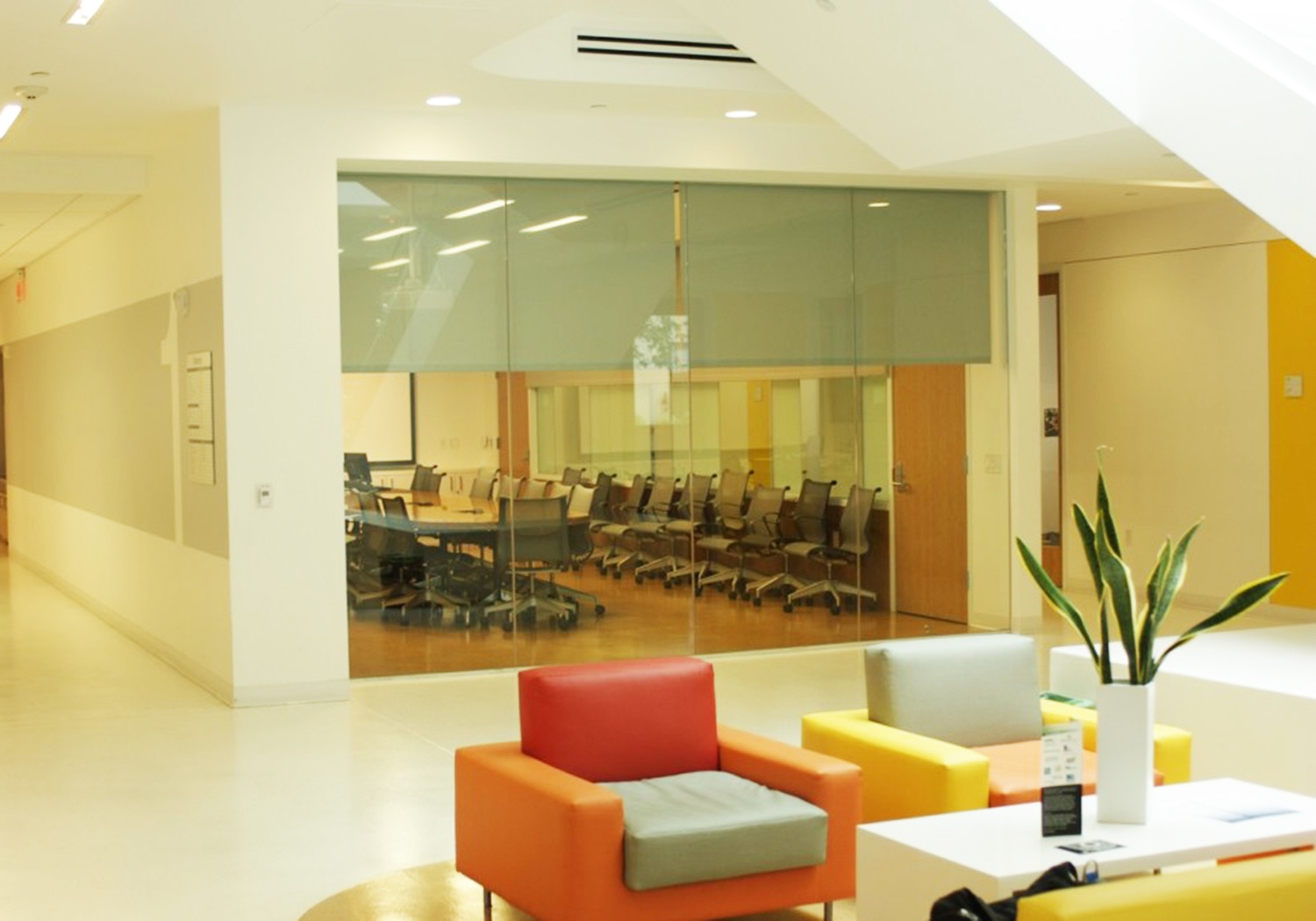 dai hoc hang dau anh 7