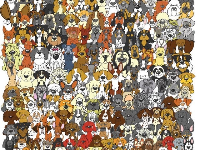 tim su khac biet trong tranh anh 1