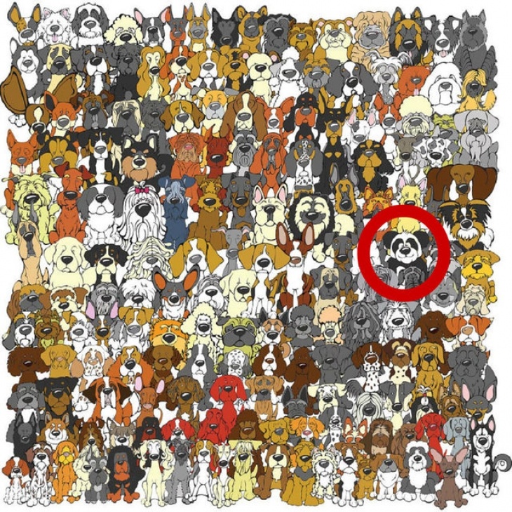 tim su khac biet trong tranh anh 2