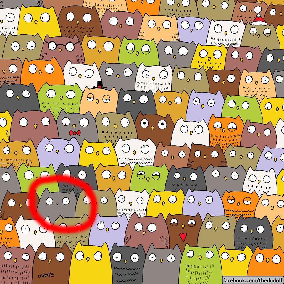 tim su khac biet trong tranh anh 12