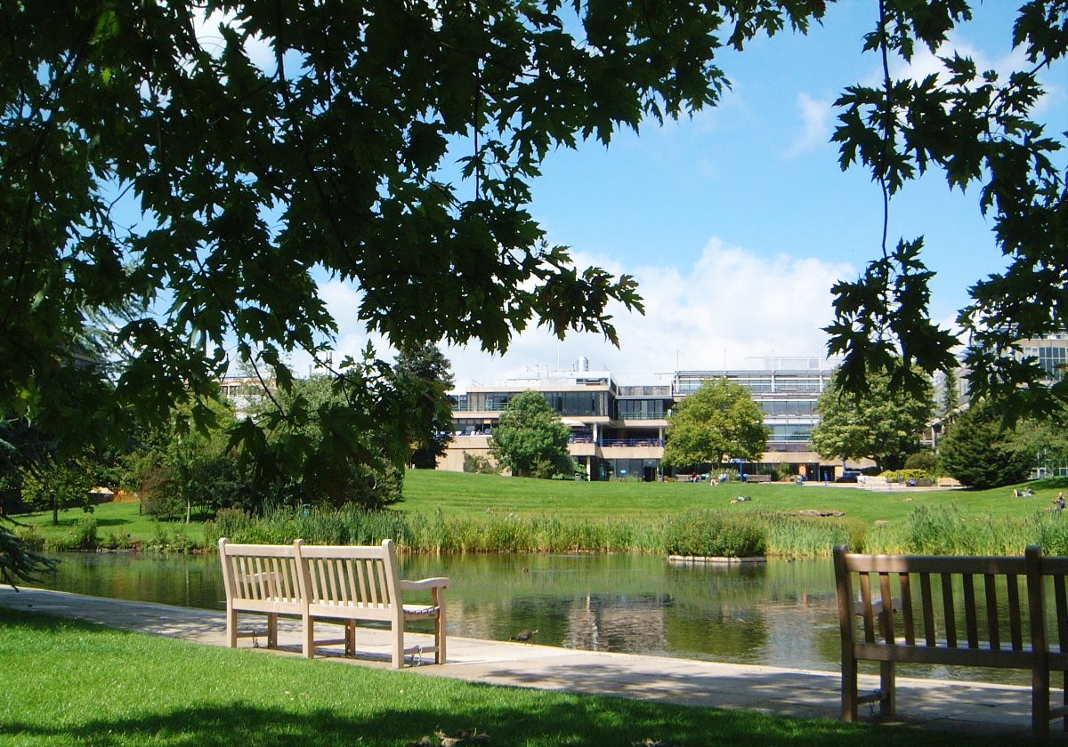 dai hoc tuyen sinh anh 10