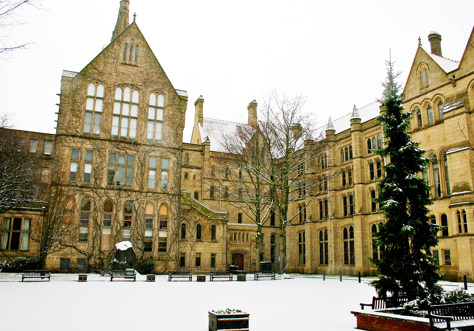 dai hoc hang dau anh 9