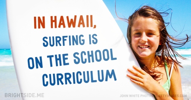 Nhung mon hoc la: Nuoi ong, luot song hinh anh