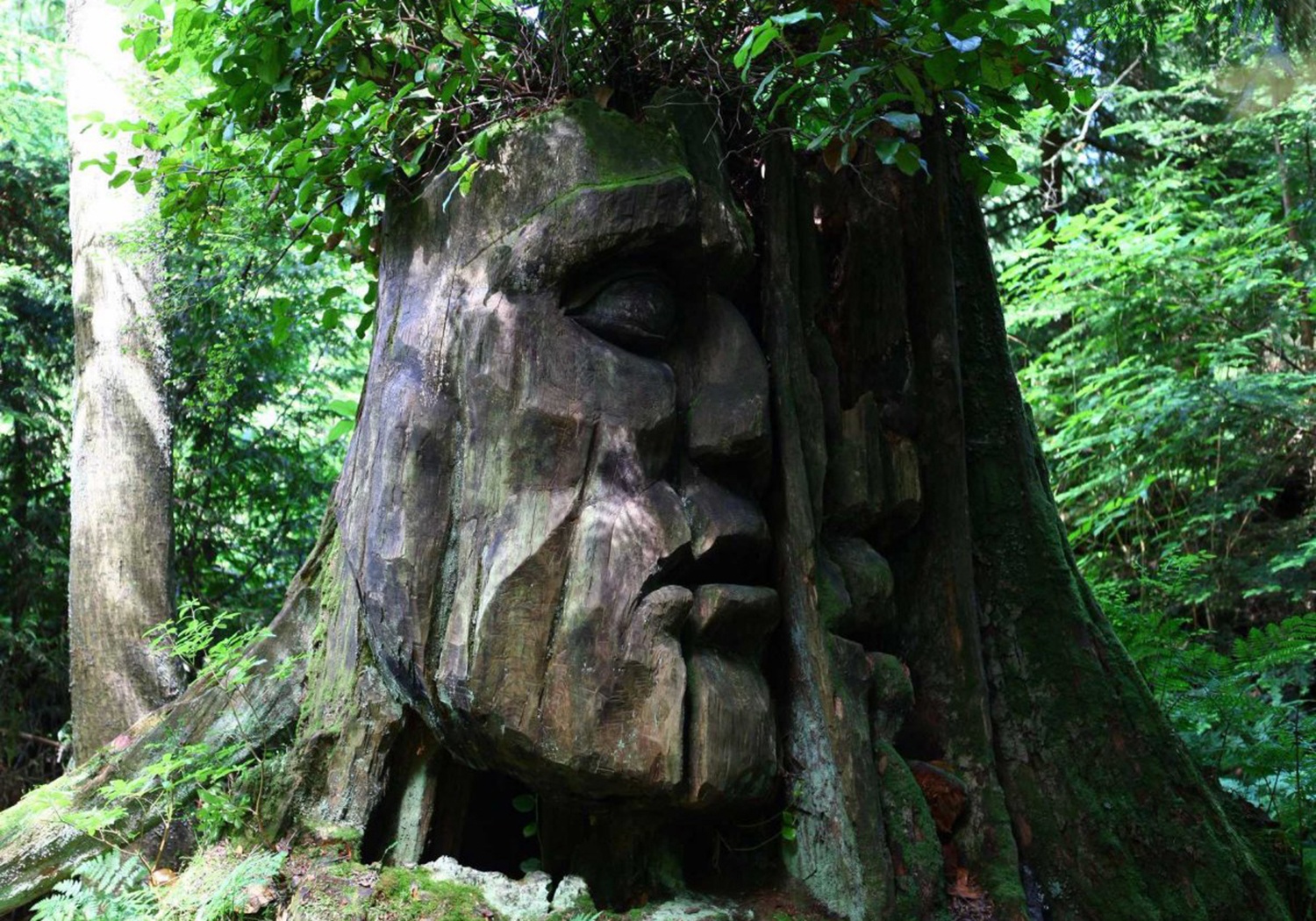 cau hoi tuyen dung anh 6