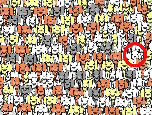 buc anh mau sac danh lua thi giac anh 10