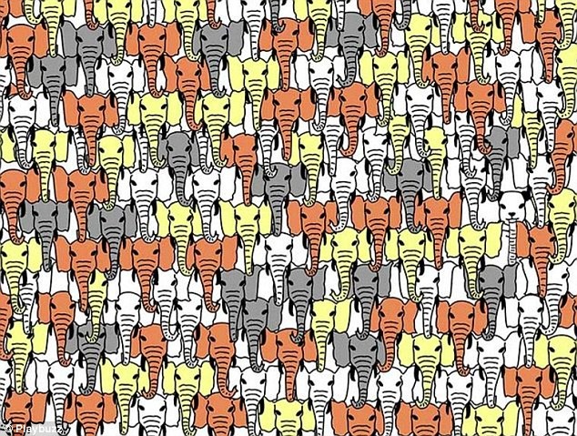 buc anh mau sac danh lua thi giac anh 9