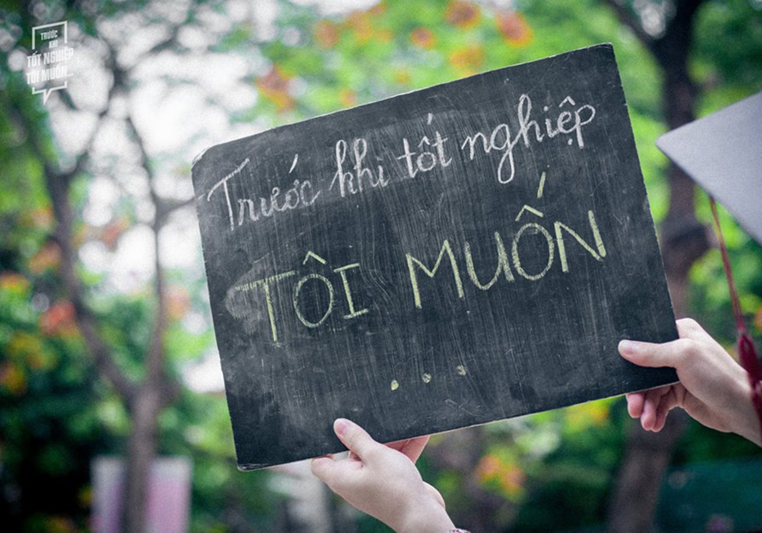 Bo anh 'Truoc khi toi tot nghiep' gay sot cong dong mang hinh anh