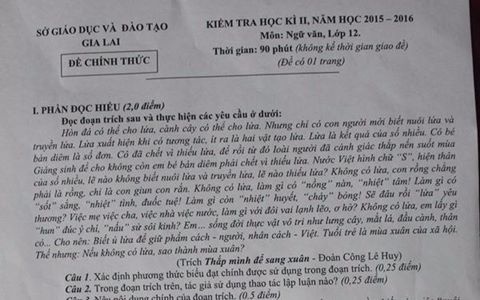 So GD&DT Gia Lai giai trinh de thi Ngu Van 'danh vong' hinh anh