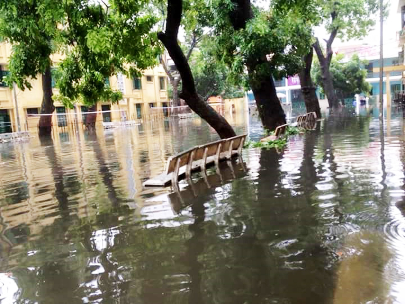 trường Hà Nội ngập lụt ảnh 1 truong Ha Noi ngap lut anh 1