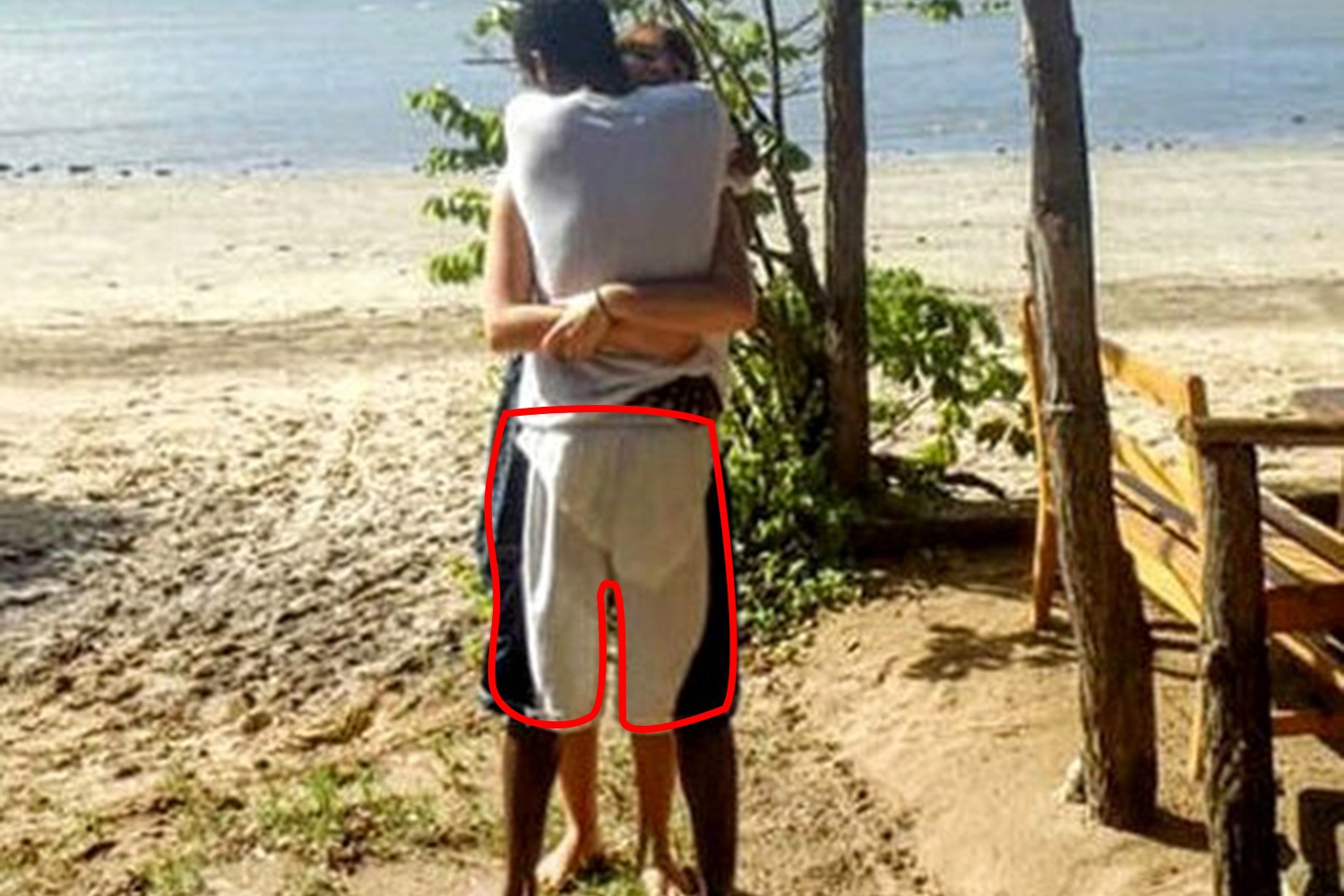 buc anh danh lua thi giac anh 2