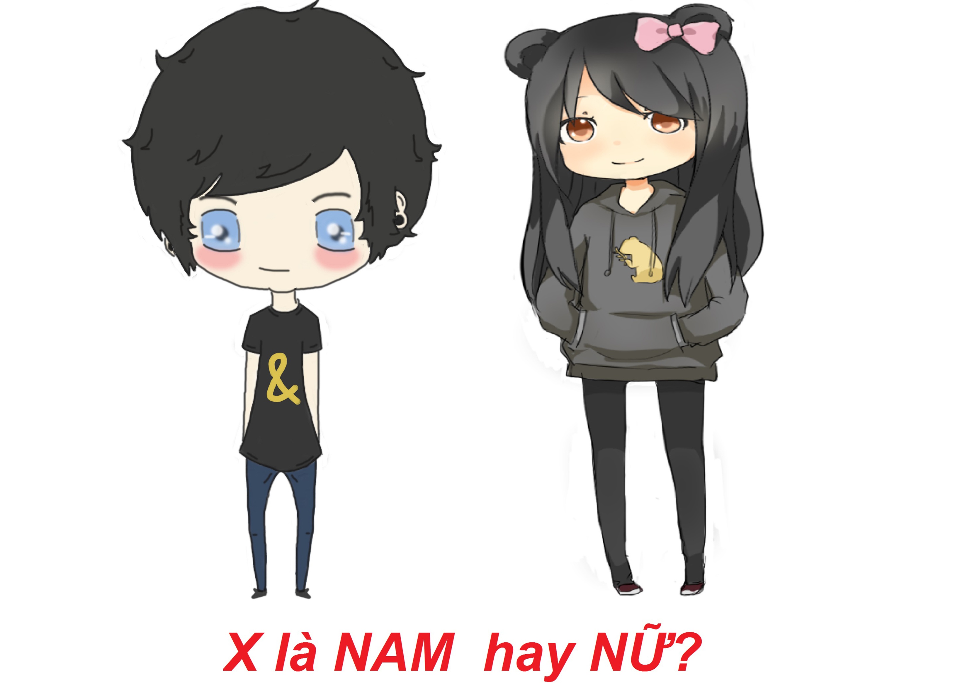 Bai toan thu vi 'X la nam hay nu' lam kho dan mang hinh anh