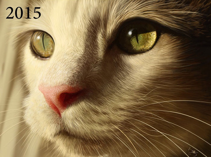 Su khac biet cua tranh anh 4