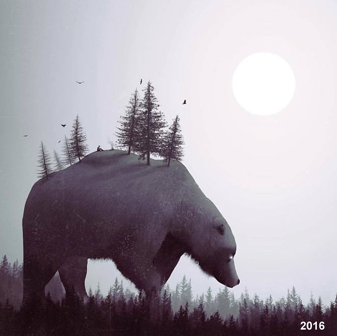 Su khac biet cua tranh anh 6