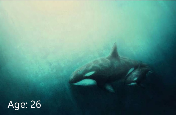 Su khac biet cua tranh anh 10