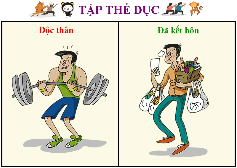 khac biet giua dan ong doc than va da ket hon anh 5