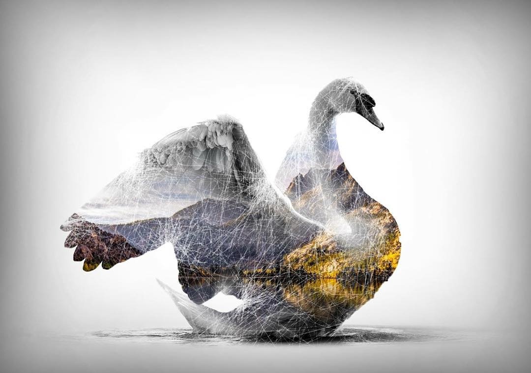 bo anh 2 trong 1 doc dao anh 5