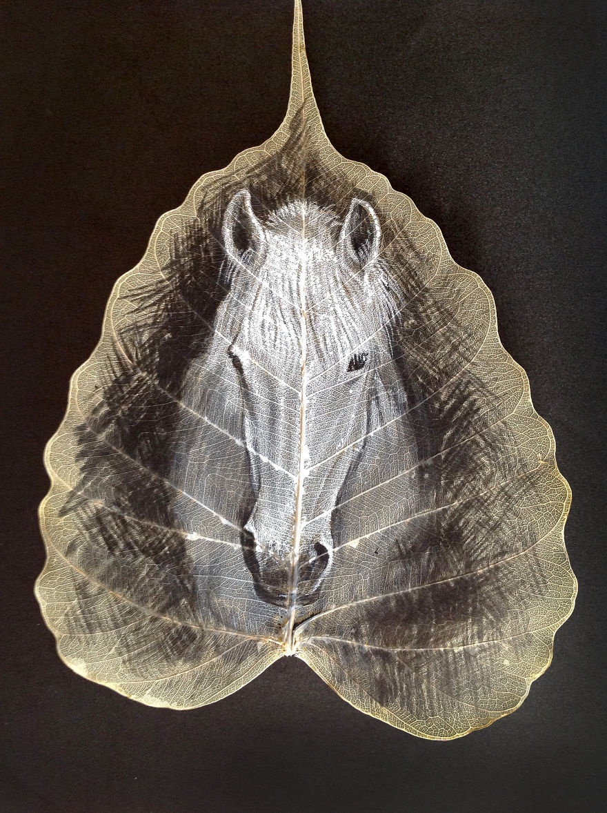 chang trai ve tranh tren la cay anh 2