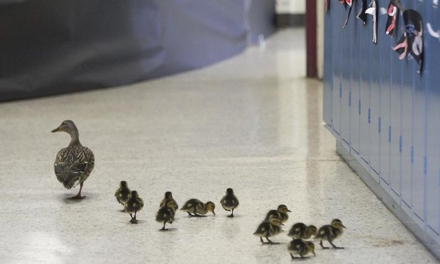 cau chuyen ve long tot trong cuoc song anh 10