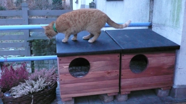 cau chuyen ve long tot trong cuoc song anh 2