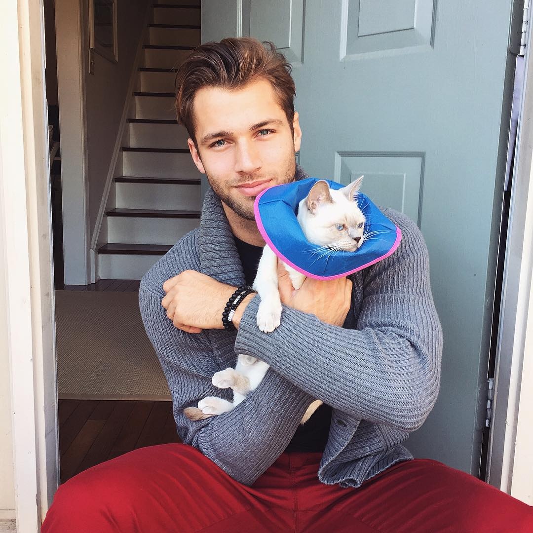 trai dep tao dang ben meo anh 11