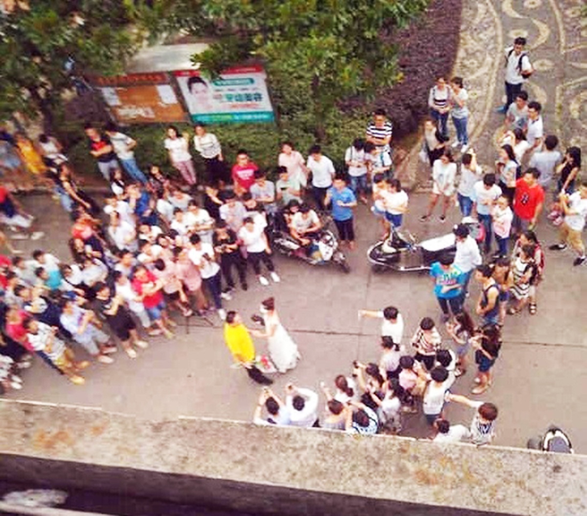 giang vien cau hon sinh vien anh 2