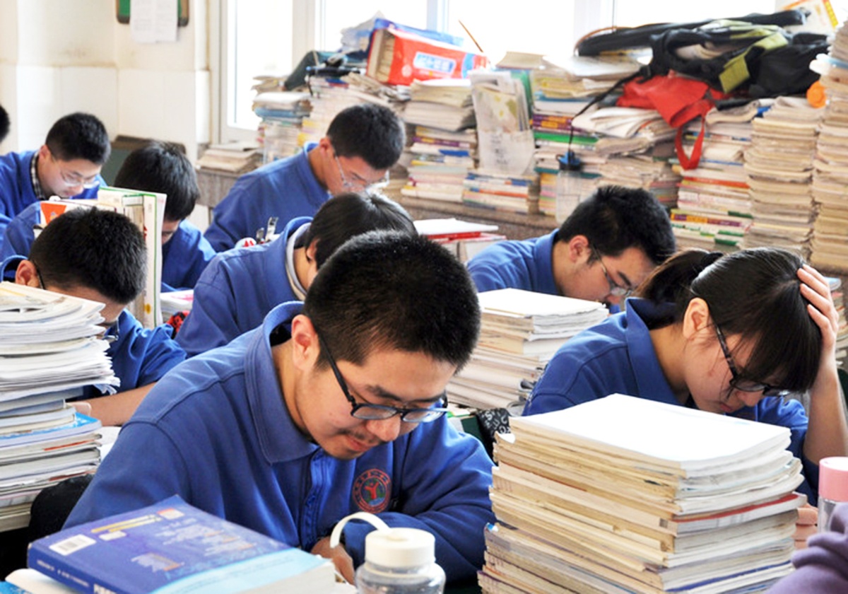 Si tu Trung Quoc manh tay chi tien cho tu van chon truong hinh anh