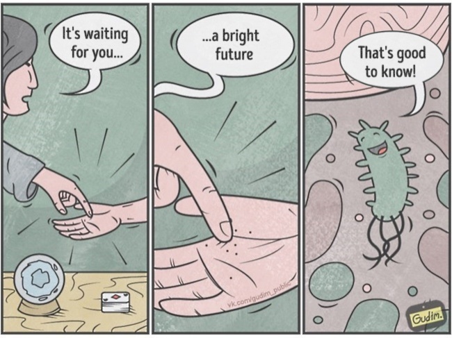 bo tranh lot ta mang toi cuoc song anh 13