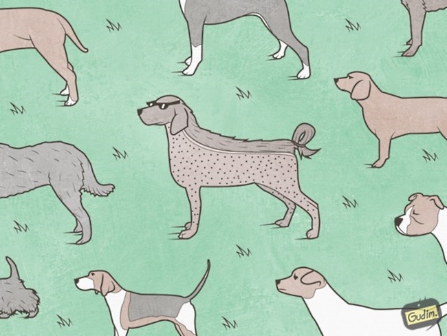 bo tranh lot ta mang toi cuoc song anh 1