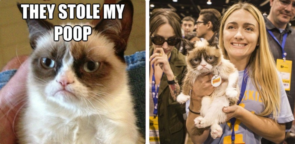 hien tuong anh che ngay ay bay gio anh 4