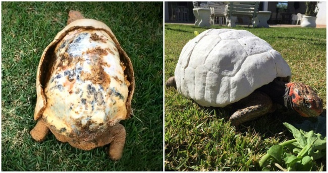 cau chuyen ve long tot tren the gioi anh 4