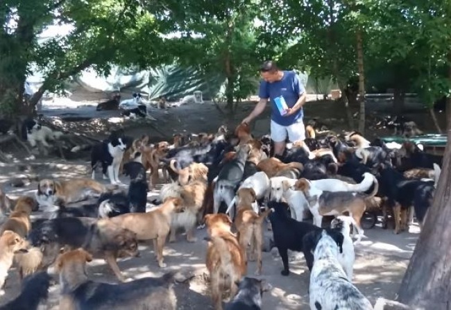 cau chuyen ve long tot tren the gioi anh 10