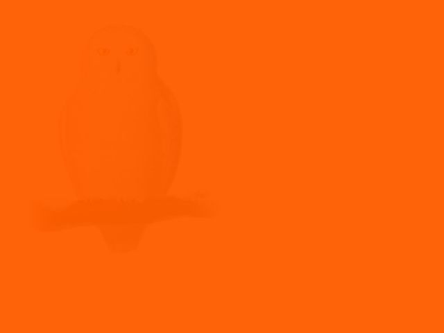 buc hinh thach thuc thi giac anh 1