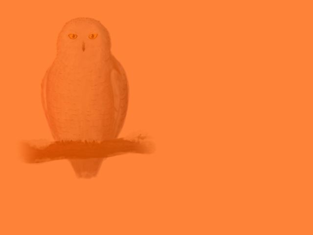 buc hinh thach thuc thi giac anh 2