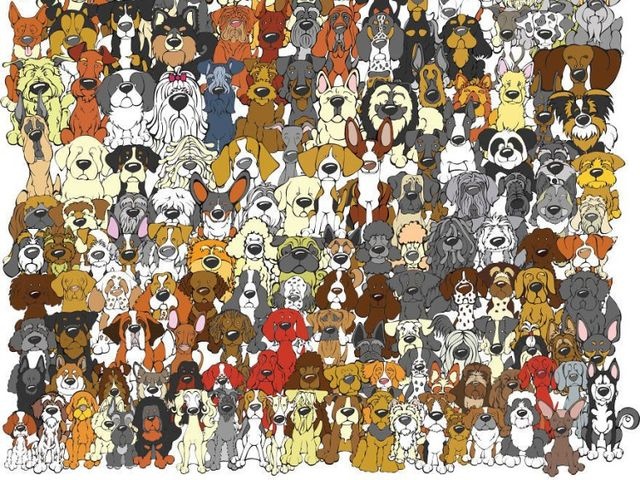 nhung buc hinh danh lua thi giac anh 3