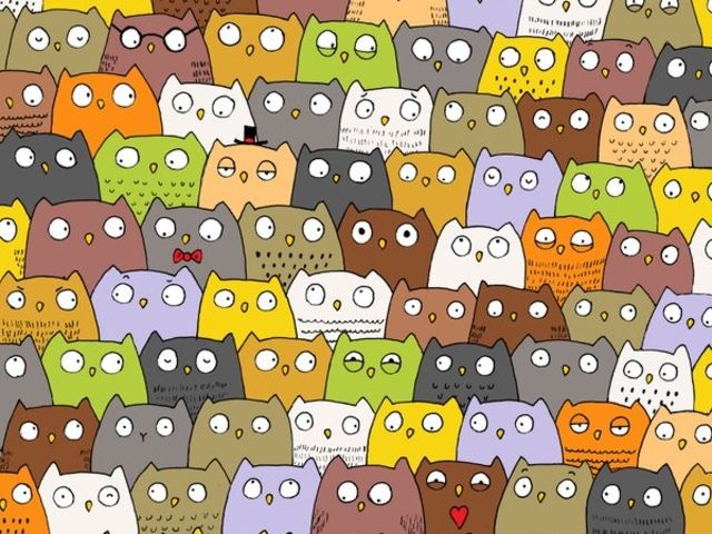 nhung buc hinh danh lua thi giac anh 9