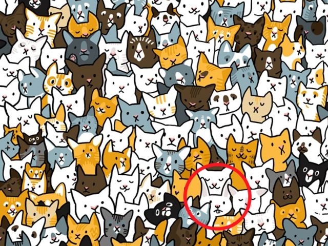 nhung buc hinh danh lua thi giac anh 18